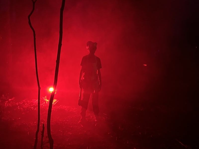 Backwoods Nightmare