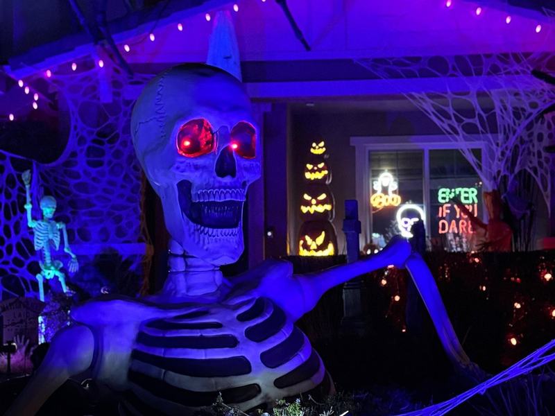 @Oceansidespiderhouse
