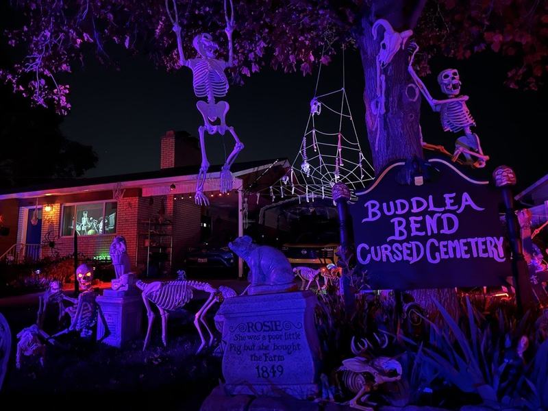 Buddlea Bend Cursed Cemetery 2026