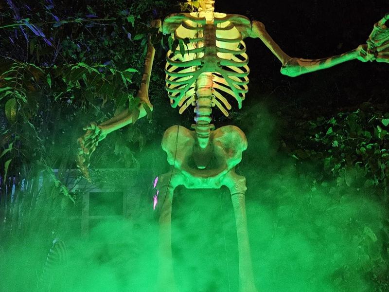 Highland Frights