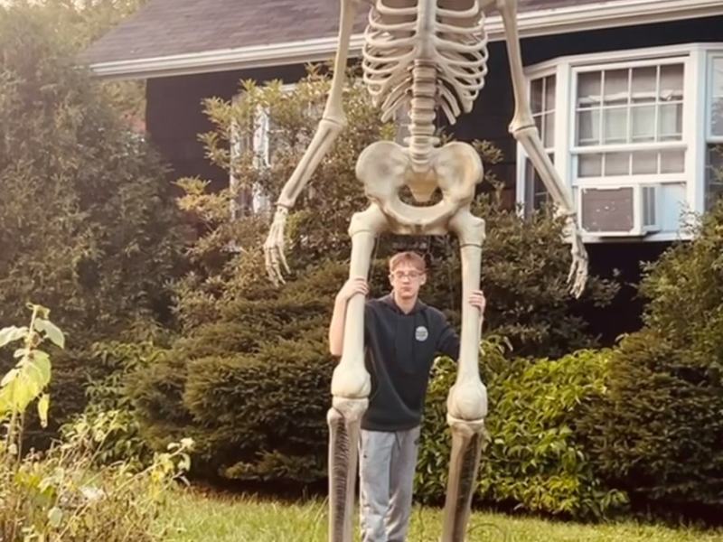 Skeleton House