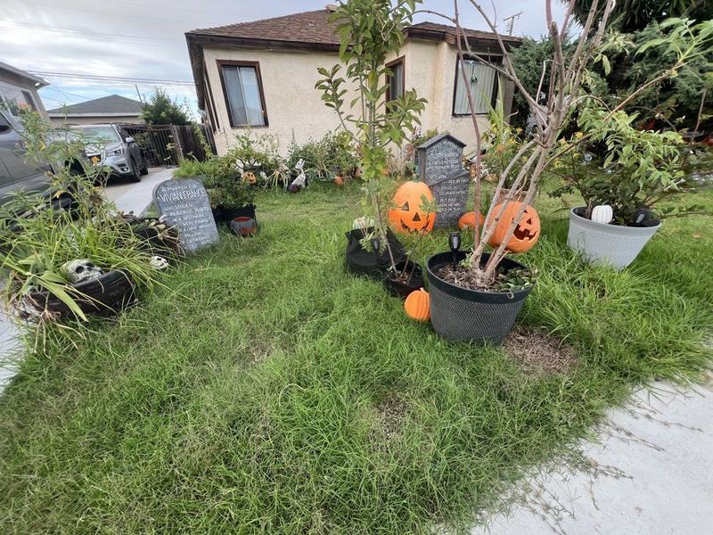 Pumpkin Patch Cemetery Stop
