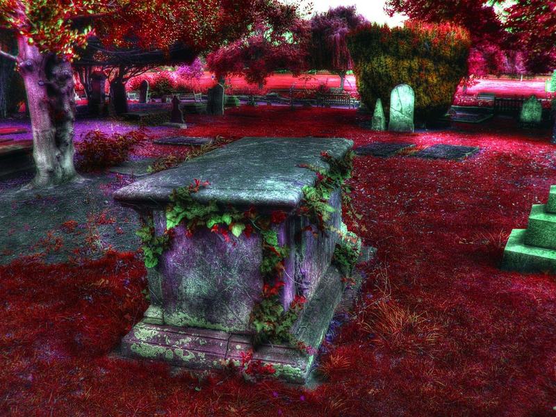 103 9th Ave — Holtsville