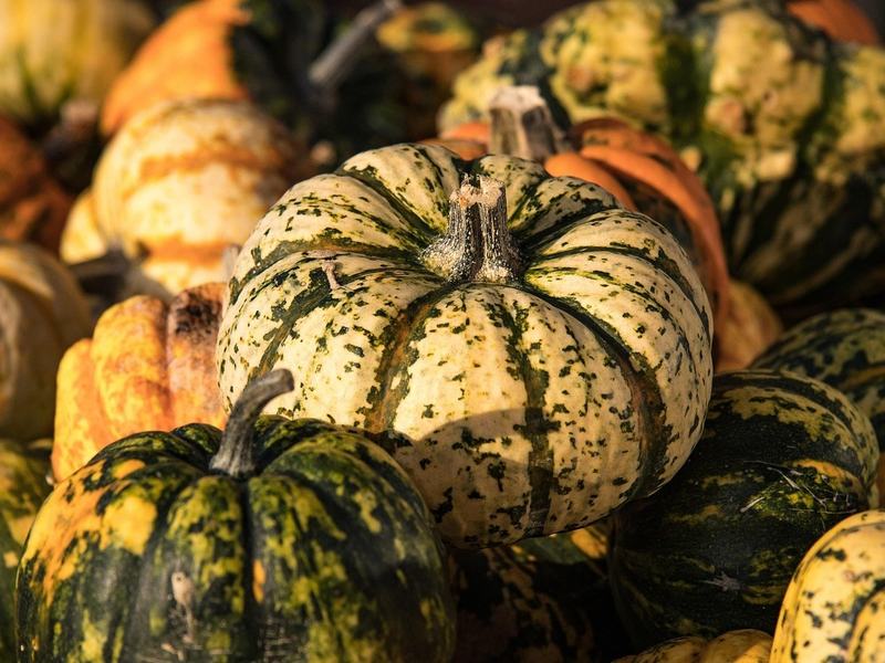 Huizenga Park Halloween Movies on the Lawn — Oct 30