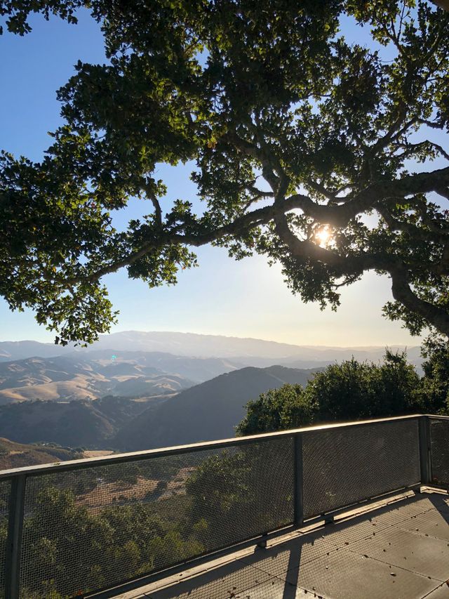 Ninebark Candy Stop — Oct 31