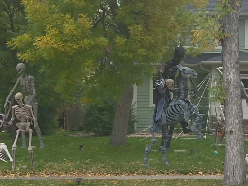 Skeleton Horse Showpiece — Aberdeen