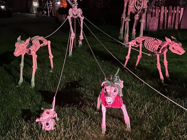 Silly Skeletons