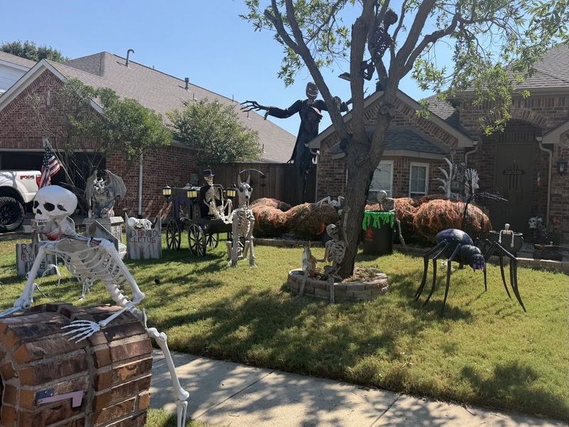Bone Yard