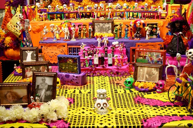 Creepshow on Coral — 17 Coral Lane
