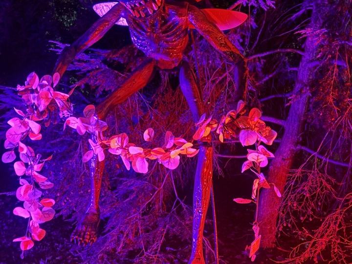 Hanuted Garden