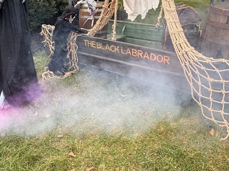 The Black Labrador: A Pirate’s Howl 🏴‍☠️
