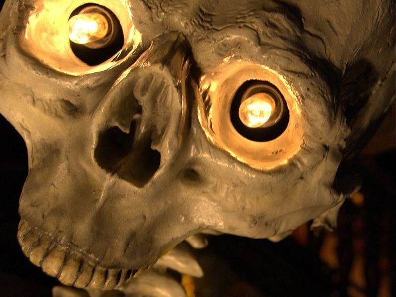 Spooky Empire — Hyatt Regency Orlando · Oct 30–Nov 1 · Vendor Room · from $40