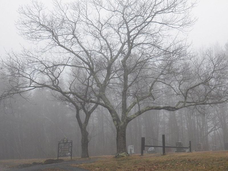 The Trail of Terror at Nestlenook Farm