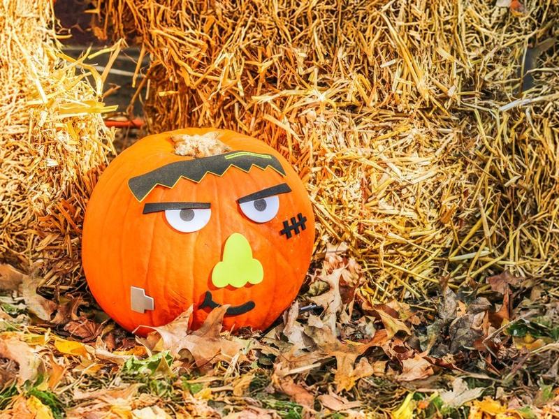 BKLYN BOO! — Downtown Brooklyn · Fri Oct 30 · 4–6pm · FREE