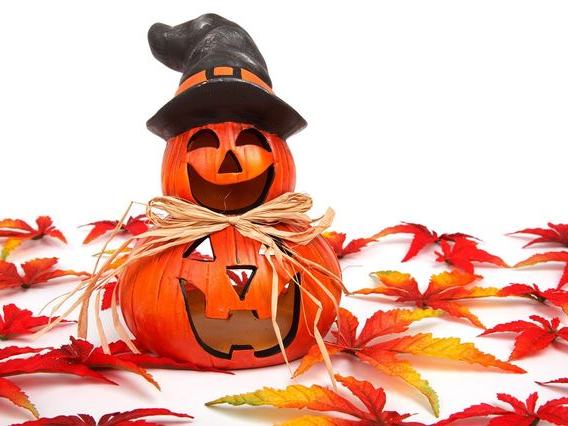 Treat Farm — Fall Season