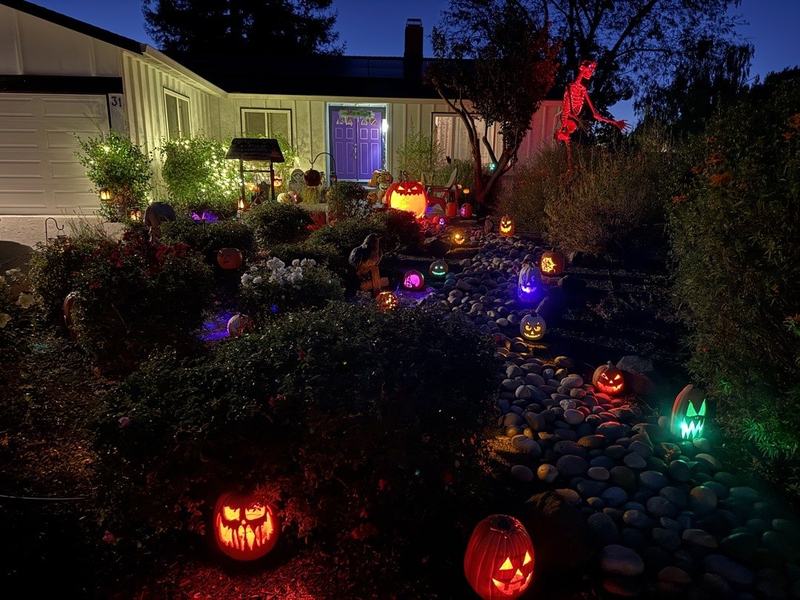 Full Moon Pumpkin Patch