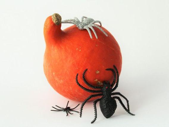 Haunt on Eden