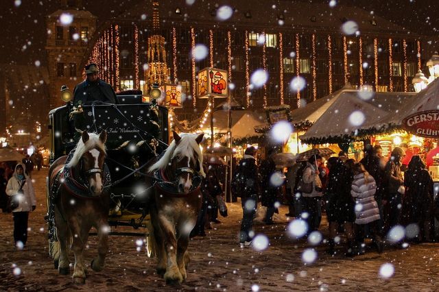 Winter Wonderland