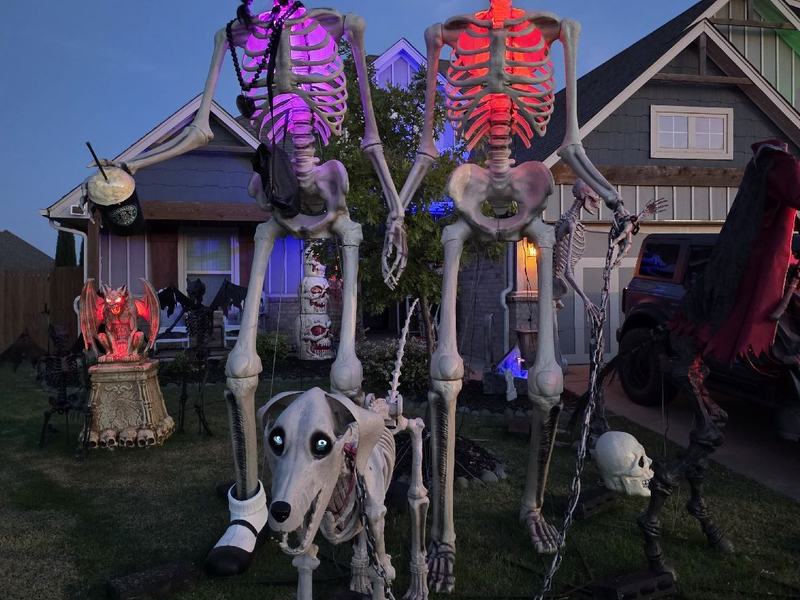 Mr. Bones
