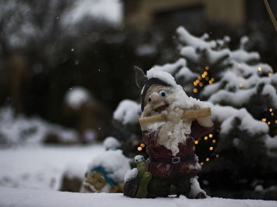Chestnut Christmas