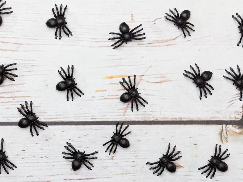 Monster Mash — Jackalope Brewing · Sat Oct 31