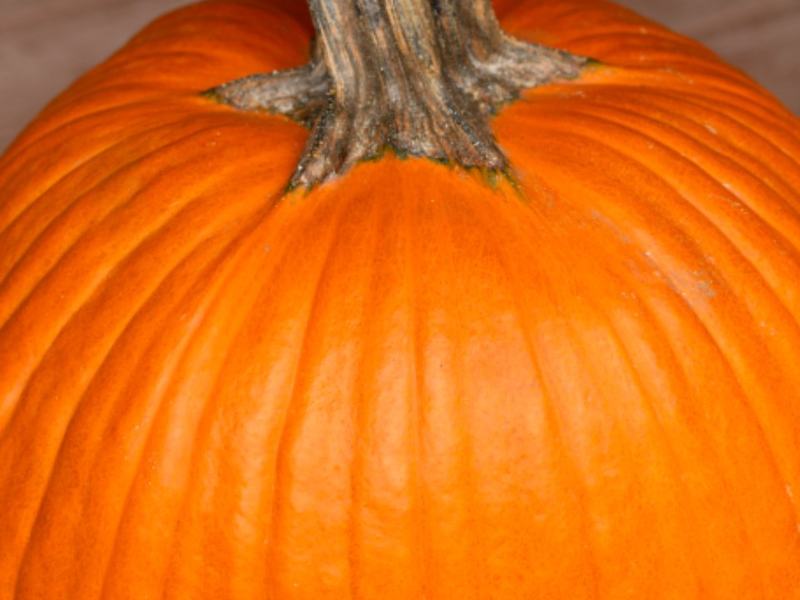 Ana Manor Halloween Display