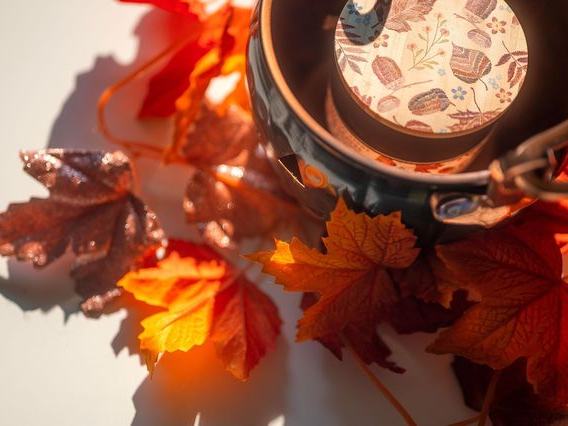 Bierman Autism Centers Sensory-Friendly Trunk-or-Treat (Oct 24, 2026, 10am-12pm)