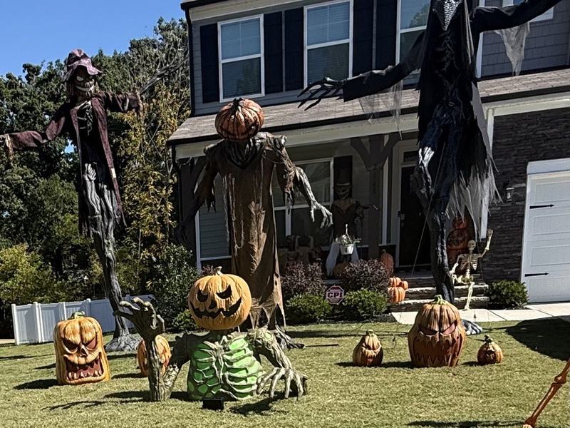 Pumpkin King Has Arrived! 🎃