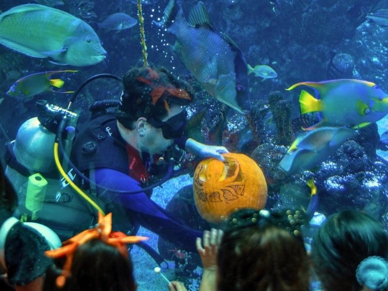 10th Annual Spooky Science Monster Mash — Phillip and Patricia Frost Museum of Science · Sat Oct 31