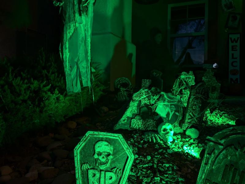 Seguin's Spooky Yard