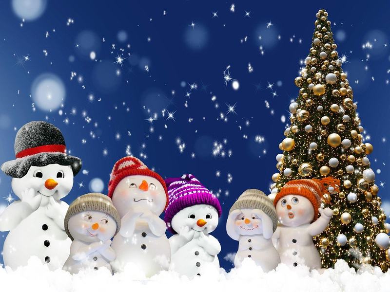 Christmas Joy on Washington