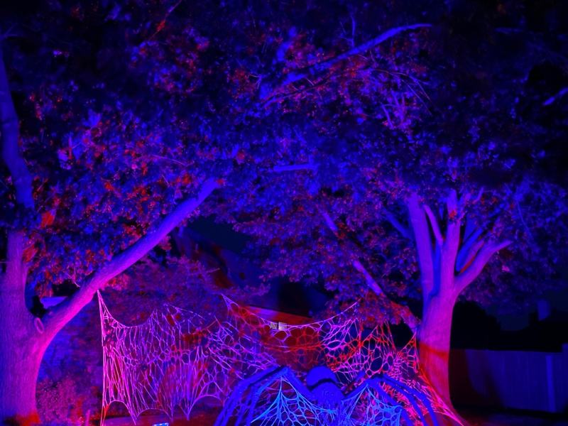 The Haunt on Sako
