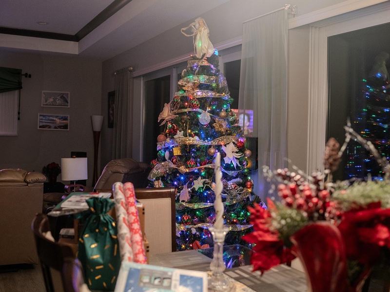 Wagner Family Magical Holiday Spheres
