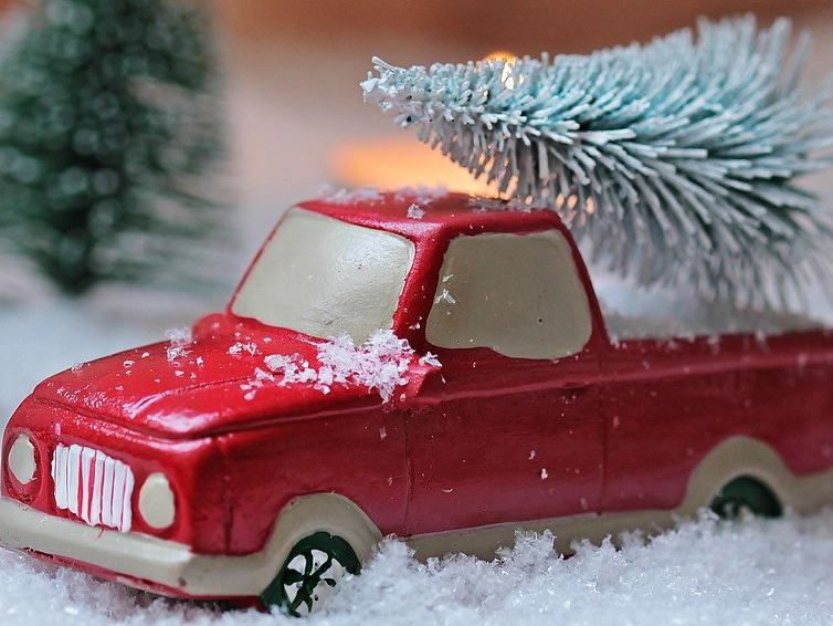 Christmas In The Pines