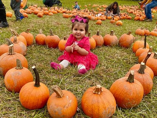 Great Pumpkin Festival at Heaven Hill Farm — September 12 – November 8, 2026 (select days