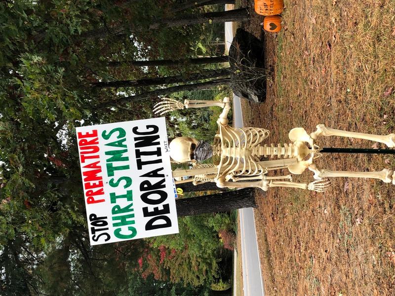 skelekins on parade