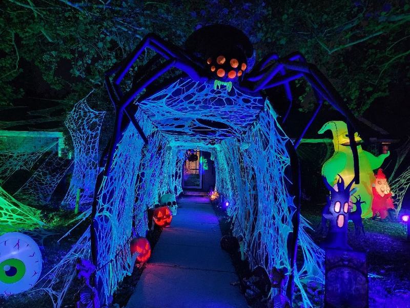 The Spider Maze Of Madness