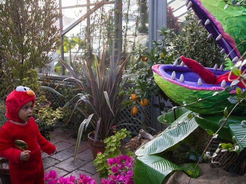 Wave Hill Fall Halloween Programs — October 2026 (Included with admission)
