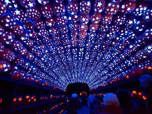 The Great Jack O'Lantern Blaze — September 18 – November 8, 2026 (every night in October), timed entry