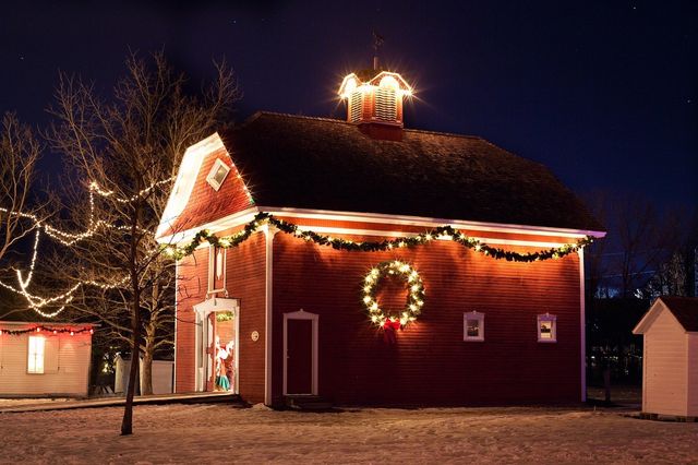 Leary Family Christmas Display