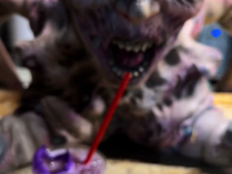 Elitch Gardens Fright Fest