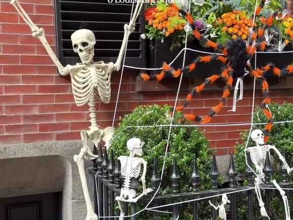 Skeleton Party at Louisburg Square