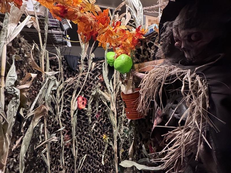 Frighthouse Of The Willows