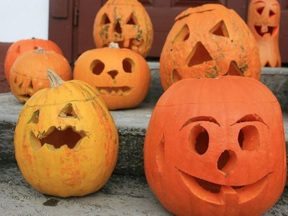 Nightmare Acres