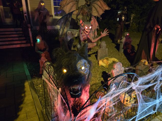 Ocean Road Graveyard — 903 Ocean Rd, Point Pleasant (nightly 6:30-10pm)