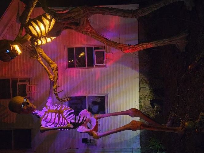 Amherst St Of Horrors