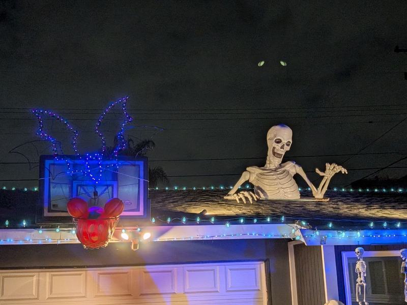 #SkellyLand USA