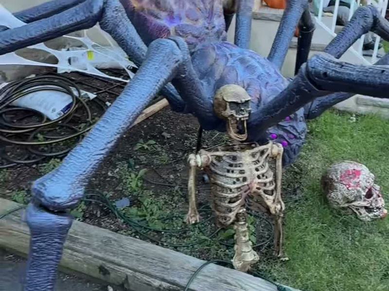 Halloween House — 48 Ackerman Ave