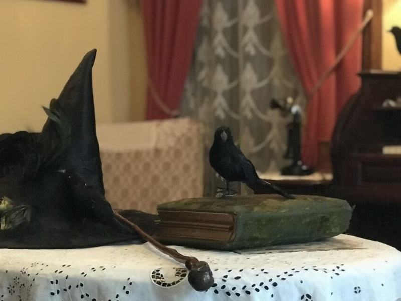 Trick or Treat at the Physick Estate — Cape May MAC · Sat Oct 31 · 5–7pm