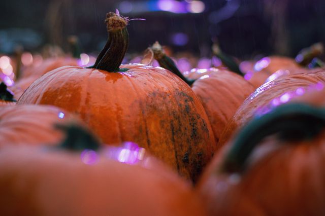 Halloween Light Show